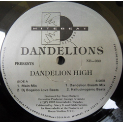 Dandelions Dandelion High Vinyl 12" USED