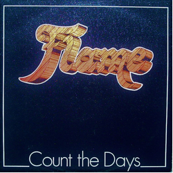 Flame (12) Count The Days Vinyl LP USED