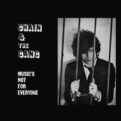 Chain And The Gang Music's Not For Everyone Vinyl LP USED