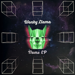 Wonky Llama Noms EP (Side A) / Drifting EP (Side B) Vinyl 12" USED