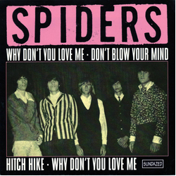Spiders Why Don't You Love Me Vinyl 7" USED