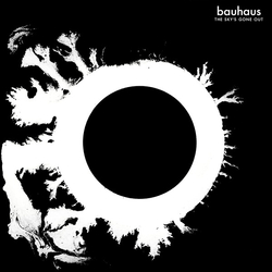 Bauhaus The Sky's Gone Out Vinyl LP USED