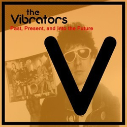 The Vibrators Past, Present, And Into The Future Vinyl LP USED