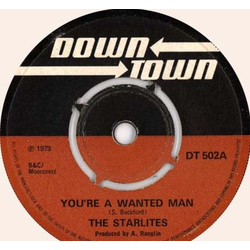 The Starlites / G.G. Allstars You're A Wanted Man / Back To Dubwise Vinyl 7" USED