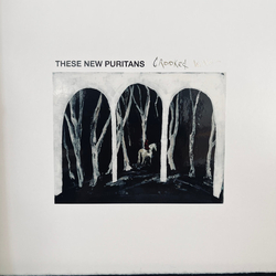These New Puritans Crooked Wing Vinyl LP USED