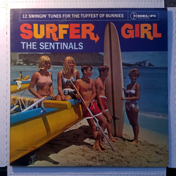 The Sentinals Surfer Girl Vinyl LP USED