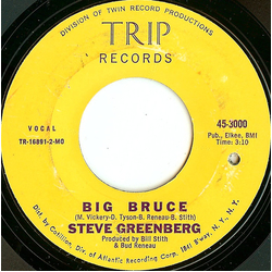 Steve Greenberg (2) Big Bruce Vinyl 7" USED