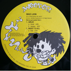 Mad Lion Girlzz / Shoot To Kill Vinyl 12" USED