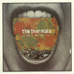 The Thermals I Don't Believe You Vinyl 7" USED