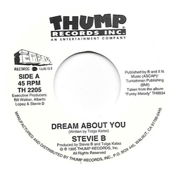 Stevie B Dream About You Vinyl 7" USED
