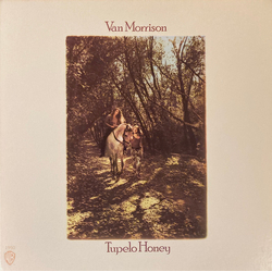 Van Morrison Tupelo Honey Vinyl LP USED