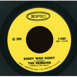 The Remains Diddy Wah Diddy Vinyl 7" USED