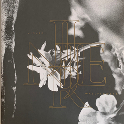 Jinjer (2) Wallflowers Multi Vinyl LP/Vinyl 7" USED