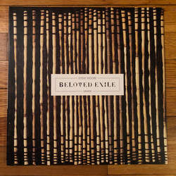 Steve Moore (3) Beloved Exile Vinyl LP USED