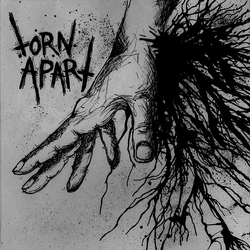 Torn Apart (3) Torn Apart Vinyl 7" USED
