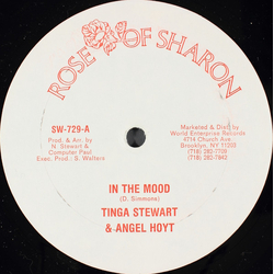 Tinga Stewart / Angel Hoytt / Computer Paul In The Mood / Hot Lick Vinyl 12" USED