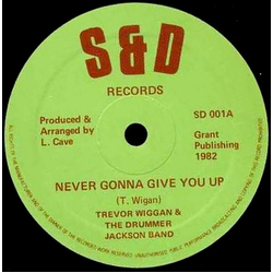 Trevor Wiggan / The Drummer Jackson Band Never Gonna Give You Up Vinyl 12" USED