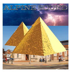 Alpine Sound Withy Step / All Bases Vinyl 12" USED