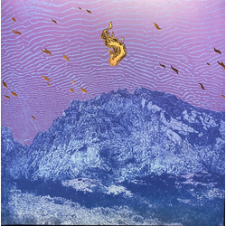 Pelican (2) Flickering Resonance Vinyl 2 LP USED