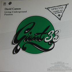 David Camon Living Underground / Passion Vinyl 12" USED