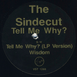 The Sindecut Tell Me Why? Vinyl 12" USED