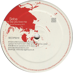Seba Too Much Too Soon Vinyl 12" USED