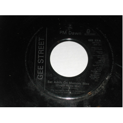 P.M. Dawn Set Adrift On Memory Bliss Vinyl 7" USED