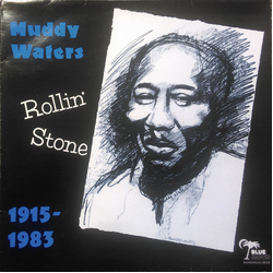 Muddy Waters Rollin' Stone Vinyl LP USED