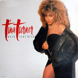 Tina Turner Break Every Rule Vinyl LP USED