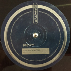 Polyvinyl Tomorrow World Vinyl 12" USED