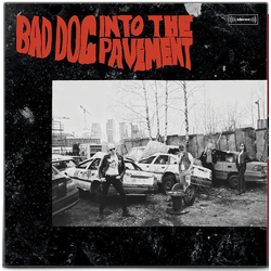 Bad Dog Into The Pavement Vinyl LP USED