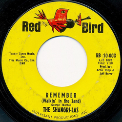 The Shangri-Las Remember (Walkin' In The Sand) Vinyl 7" USED