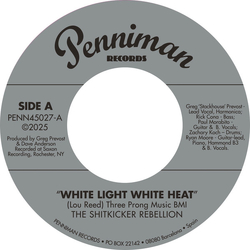 The Shitkicker Rebellion White Light White Heat / 99th Floor Vinyl 7" USED