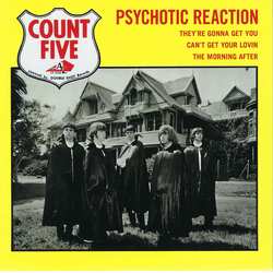 Count Five Psychotic Reaction Vinyl 7" USED