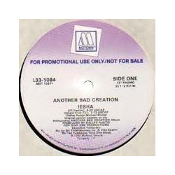 Another Bad Creation Iesha Vinyl 12" USED