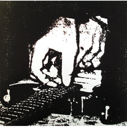 Blowhole Killing Noise Vinyl LP USED