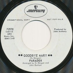 Paradox (23) Goodbye Mary Vinyl 7" USED