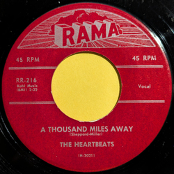 The Heartbeats A Thousand Miles Away / Oh Baby Don't Vinyl 7" USED