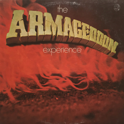 The Armageddon Experience The Armageddon Experience Vinyl LP USED