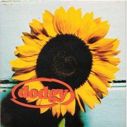 Dodgy Good Enough Vinyl 7" USED