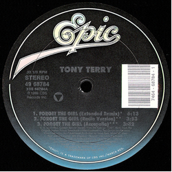 Tony Terry Forget The Girl Vinyl 12" USED