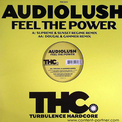 Audiolush Feel The Power Vinyl 12" USED