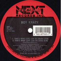 Boy Krazy That's What Love Can Do Vinyl 12" USED