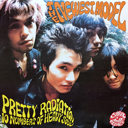 The Newest Model Pretty Radiation Vinyl LP USED