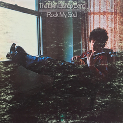The Elvin Bishop Band Rock My Soul Vinyl LP USED