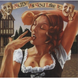 Mud As You Like It Vinyl LP USED