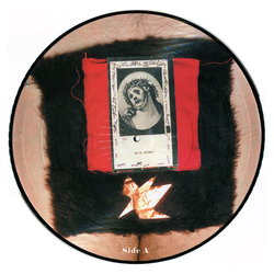 The Hidden Cameras Ecce Homo Vinyl LP USED
