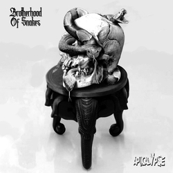 Various Brotherhood Of Snakes Vinyl 12" USED