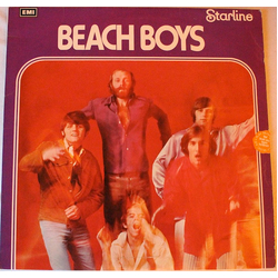 The Beach Boys The Beach Boys Vinyl LP USED