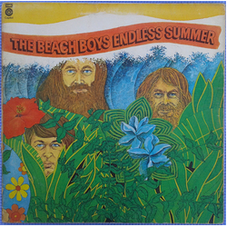 The Beach Boys Endless Summer Vinyl LP USED